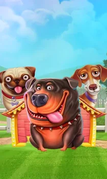 The Dog House